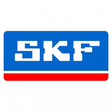 skf rulman